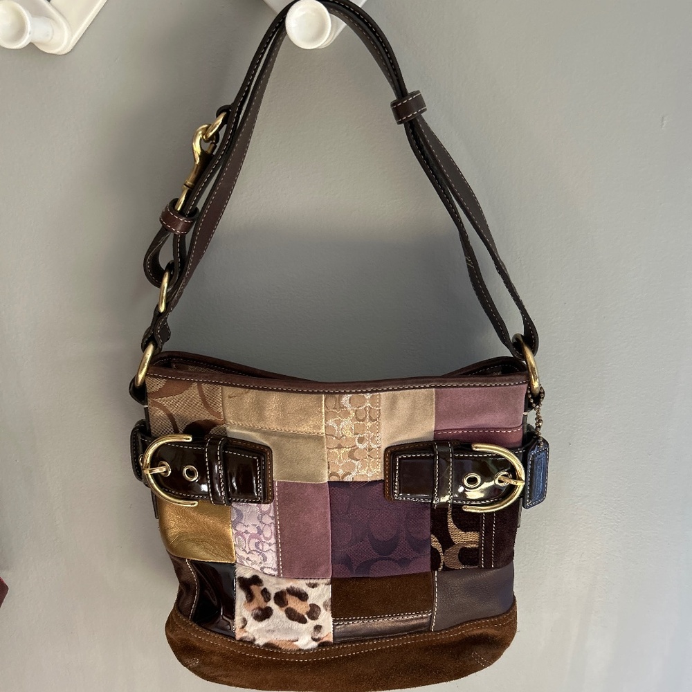 Coach Bag and Dust cover